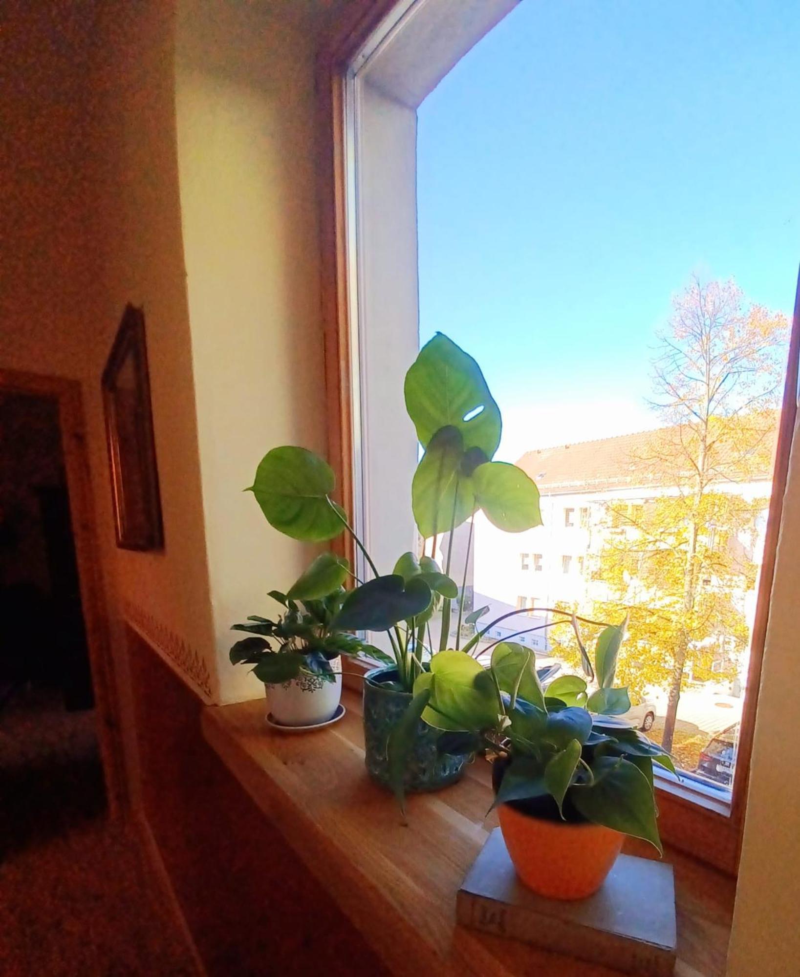 Ferienwohnung Antik Gotha Esterno foto