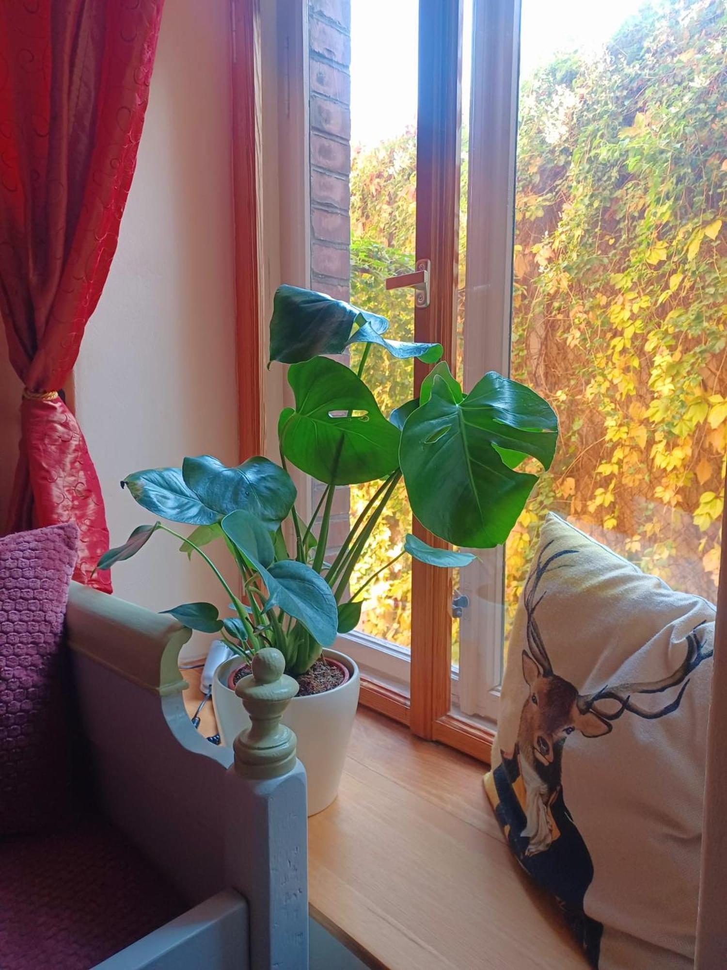 Ferienwohnung Antik Gotha Esterno foto