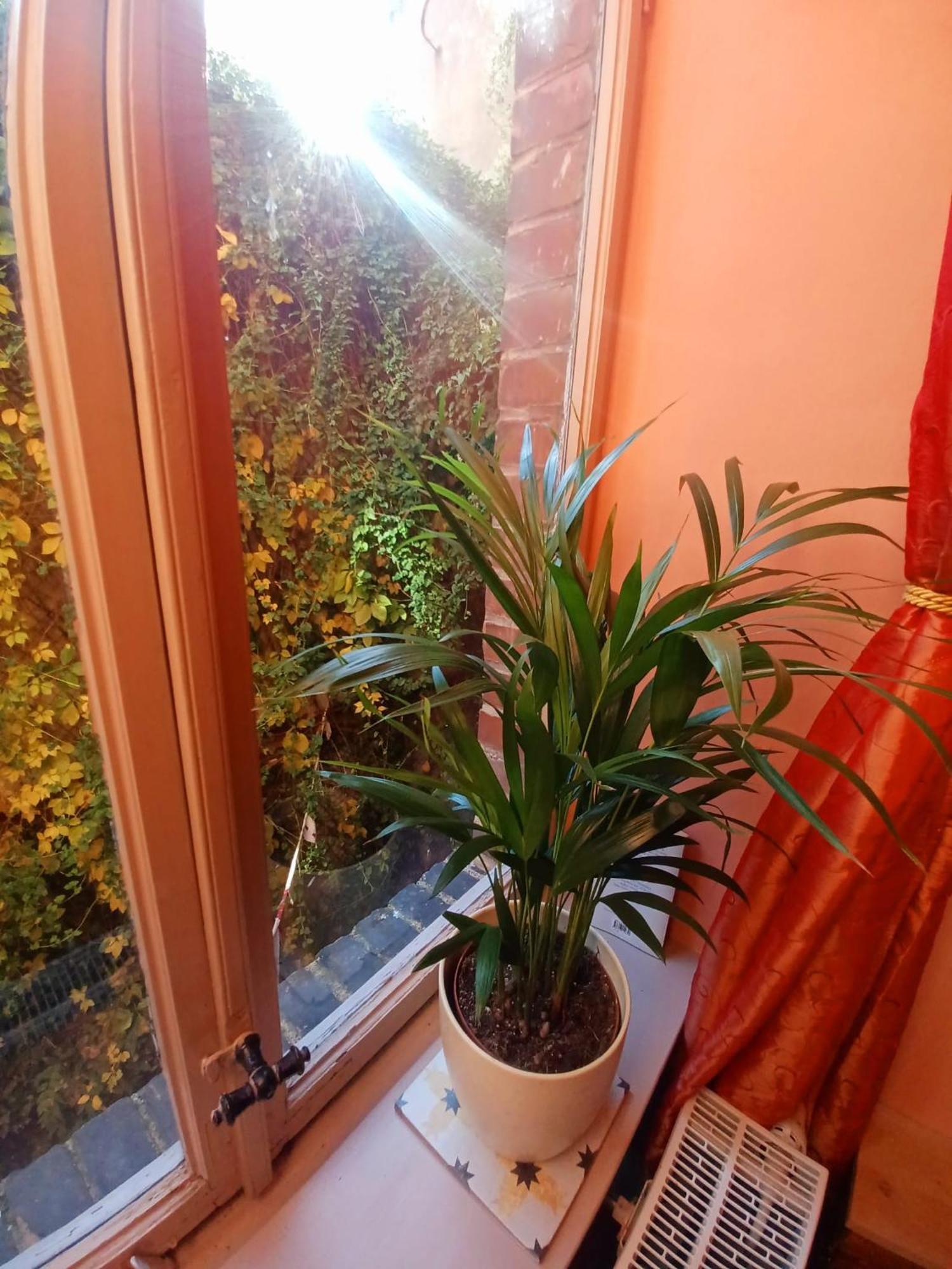 Ferienwohnung Antik Gotha Esterno foto